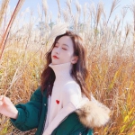 365平台下载下载手机版